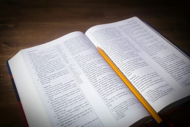 聖書研究：心を育て、傷つけない