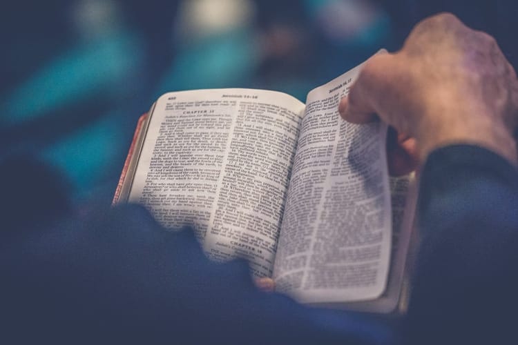 聖書研究 不平を言わない人生を受け入れる