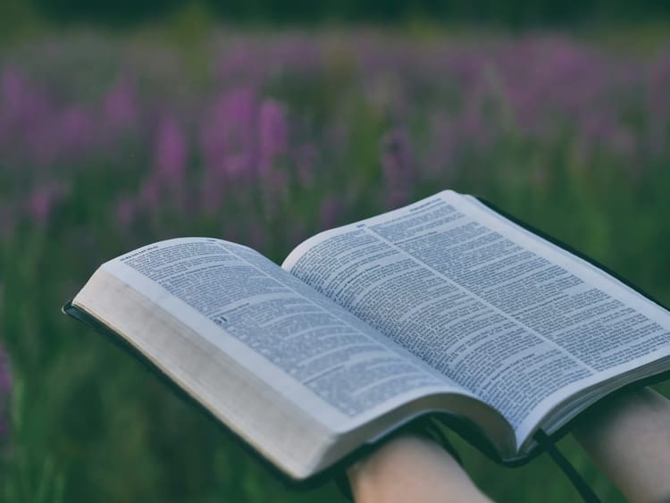 聖書研究 主を恐れることの喜び