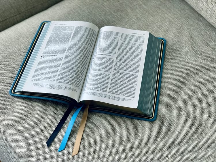 聖書研究 静けさの中に平安を見いだす