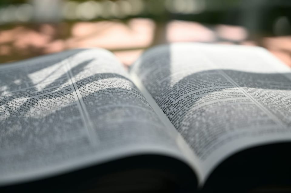聖書研究：善を行うことに耐え忍ぶ